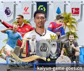 开云电竞 APP | KYEsport